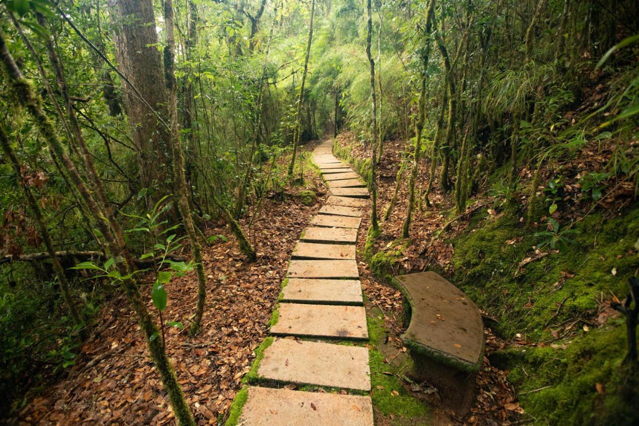 Dantica Cloud Forest Lodge サン・ヘラルド・デ・ドタ エクステリア 写真