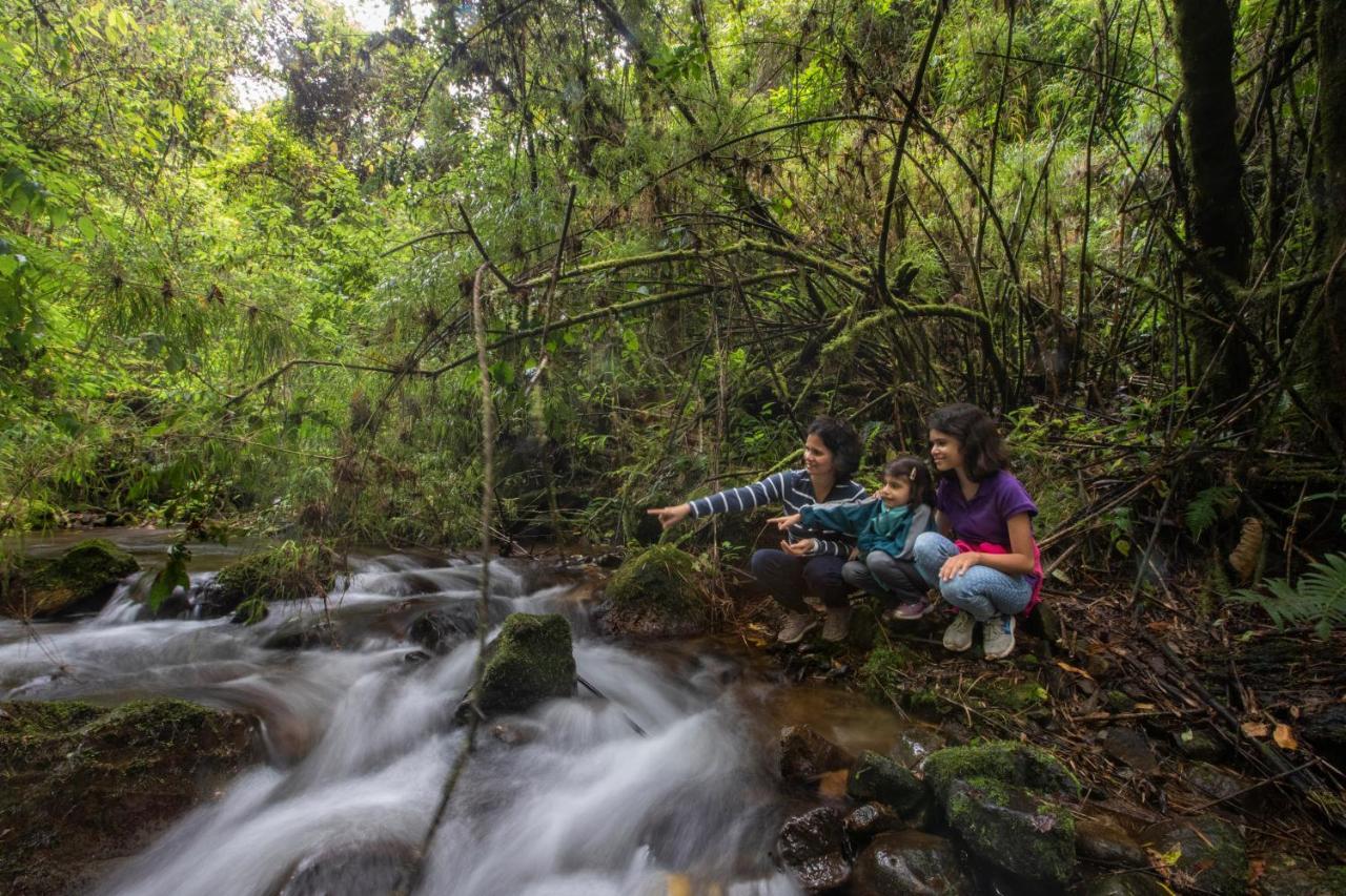 Dantica Cloud Forest Lodge サン・ヘラルド・デ・ドタ エクステリア 写真