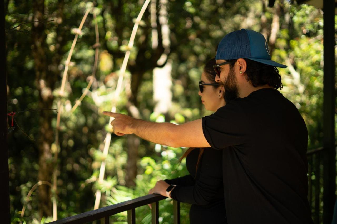 Dantica Cloud Forest Lodge サン・ヘラルド・デ・ドタ エクステリア 写真