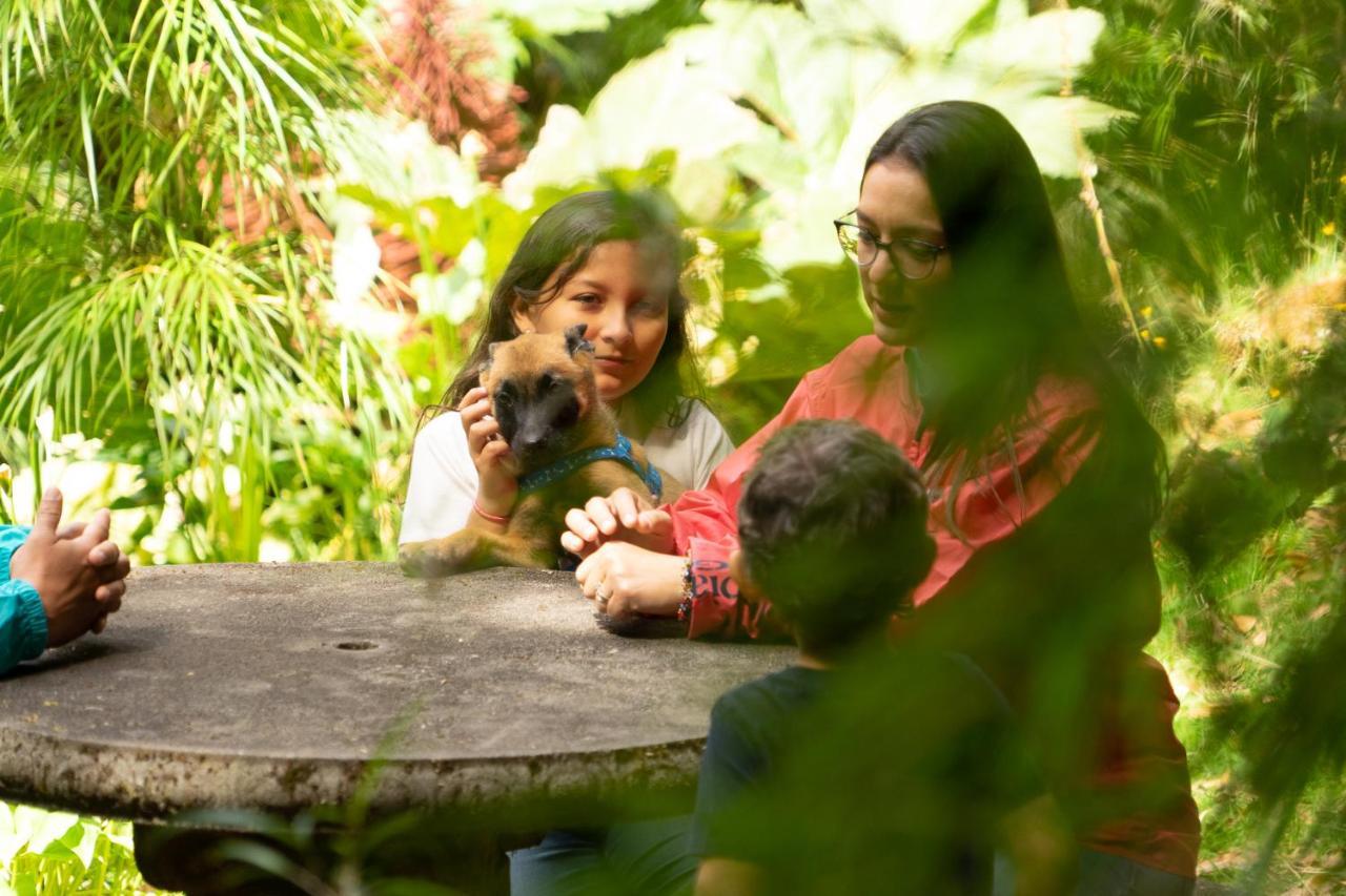 Dantica Cloud Forest Lodge サン・ヘラルド・デ・ドタ エクステリア 写真
