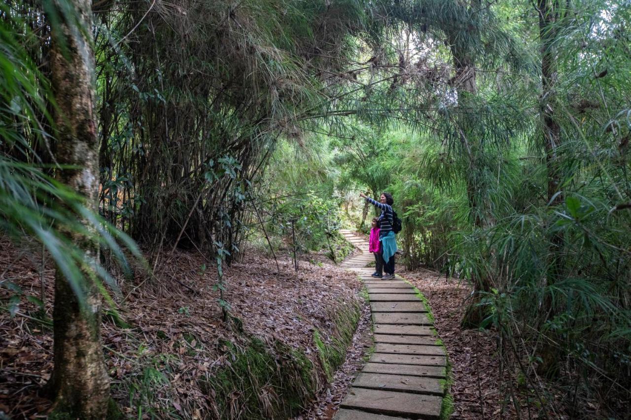 Dantica Cloud Forest Lodge サン・ヘラルド・デ・ドタ エクステリア 写真