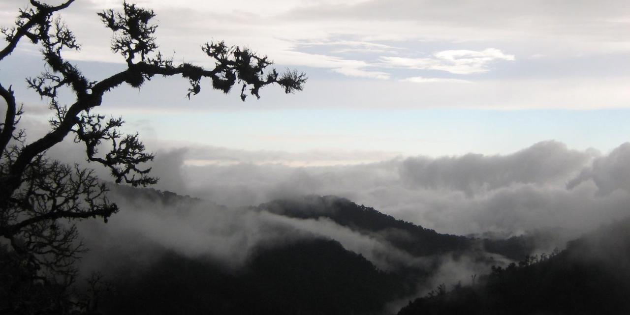 Dantica Cloud Forest Lodge サン・ヘラルド・デ・ドタ エクステリア 写真