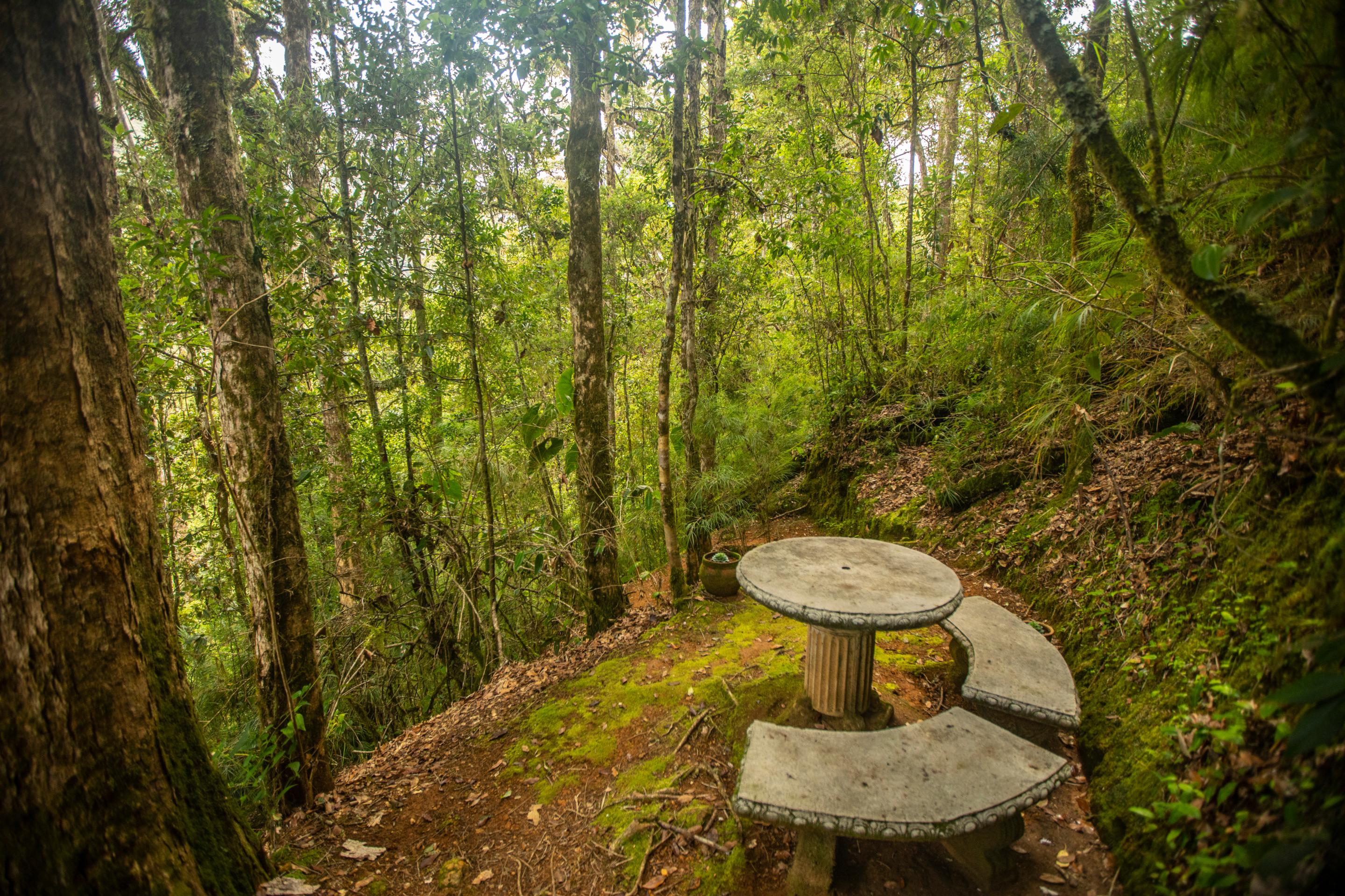Dantica Cloud Forest Lodge サン・ヘラルド・デ・ドタ エクステリア 写真
