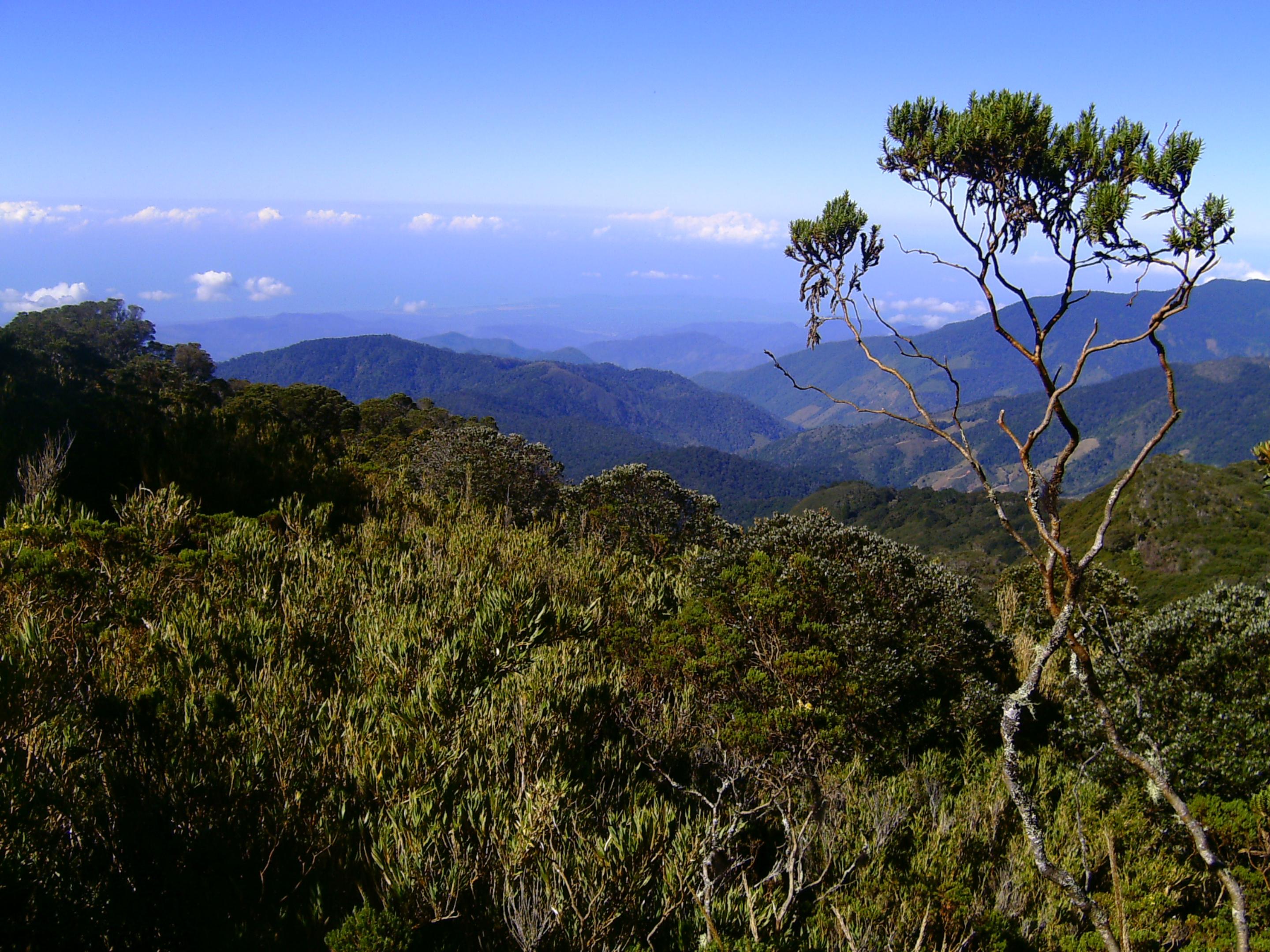 Dantica Cloud Forest Lodge サン・ヘラルド・デ・ドタ エクステリア 写真