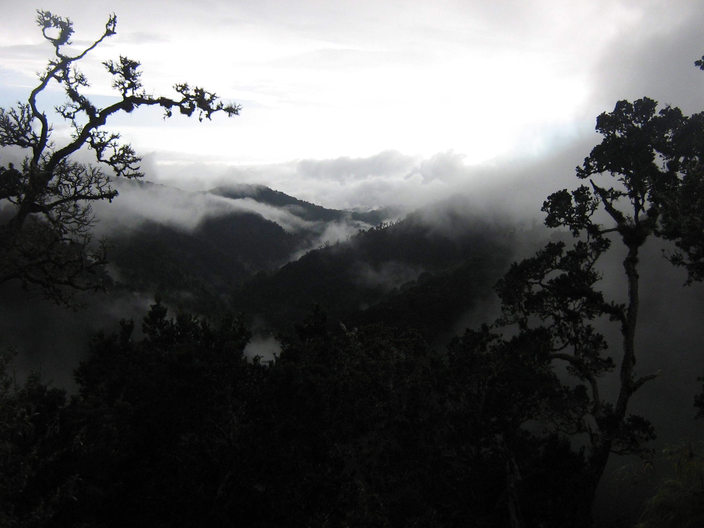 Dantica Cloud Forest Lodge サン・ヘラルド・デ・ドタ エクステリア 写真