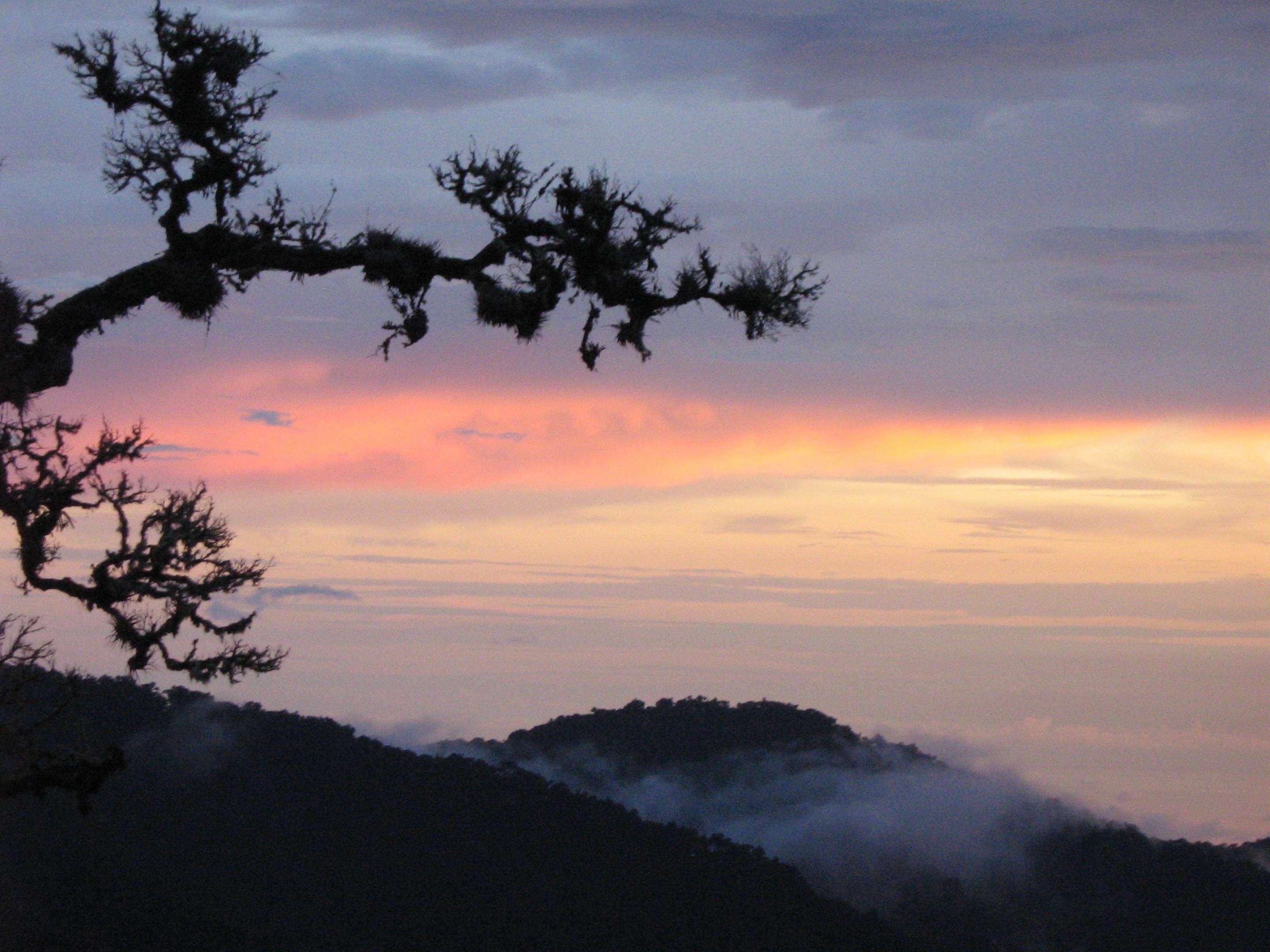 Dantica Cloud Forest Lodge サン・ヘラルド・デ・ドタ エクステリア 写真