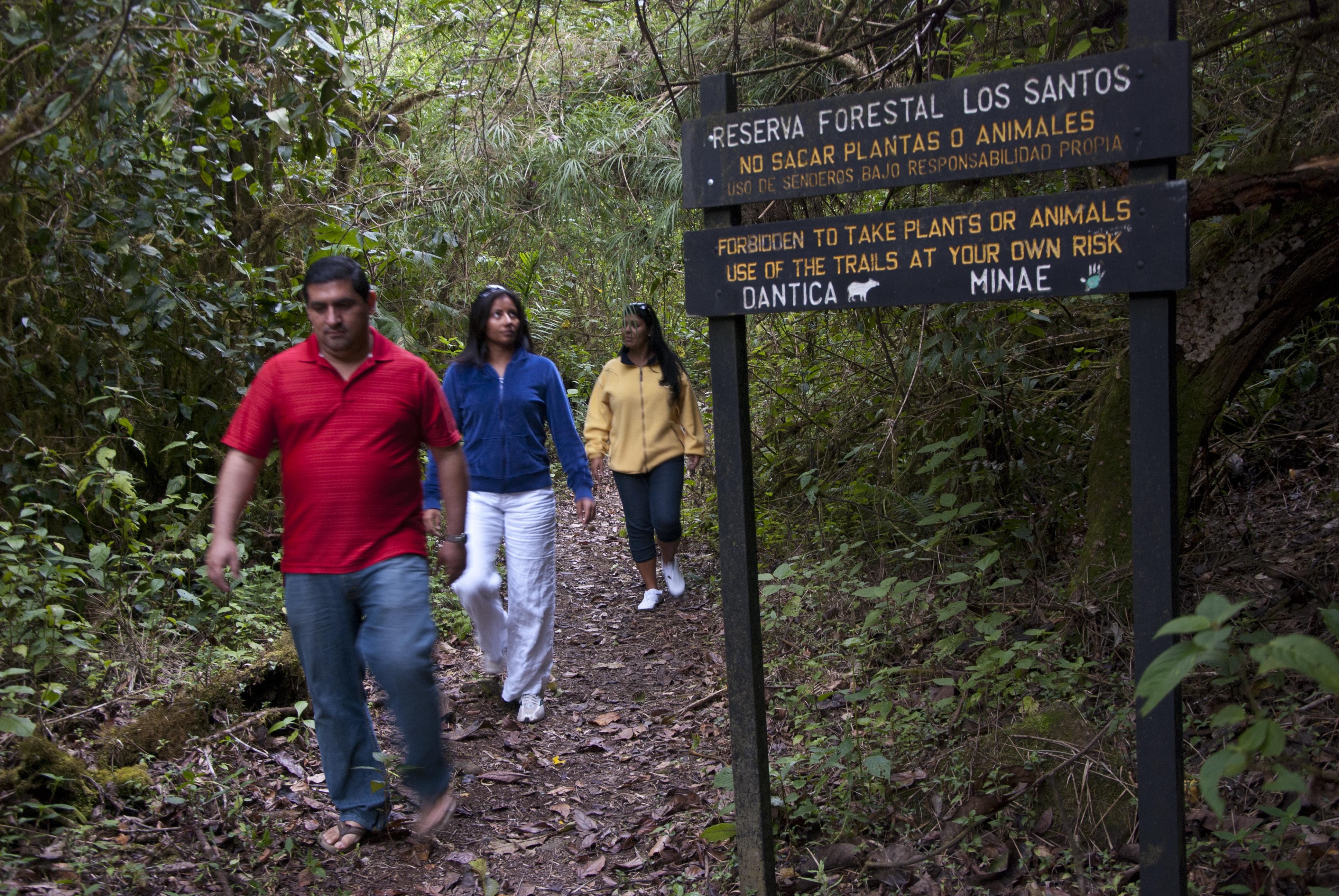 Dantica Cloud Forest Lodge サン・ヘラルド・デ・ドタ エクステリア 写真