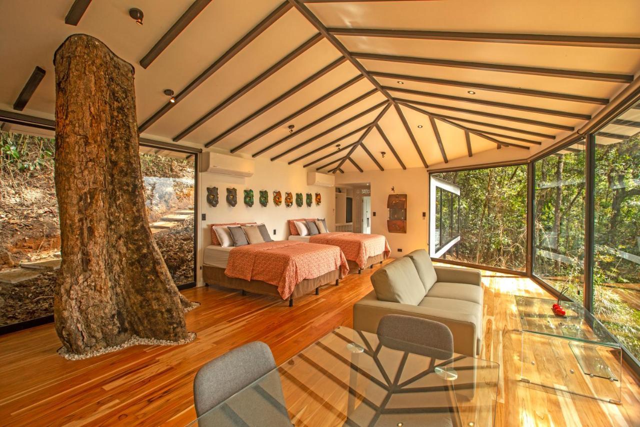 Dantica Cloud Forest Lodge サン・ヘラルド・デ・ドタ エクステリア 写真