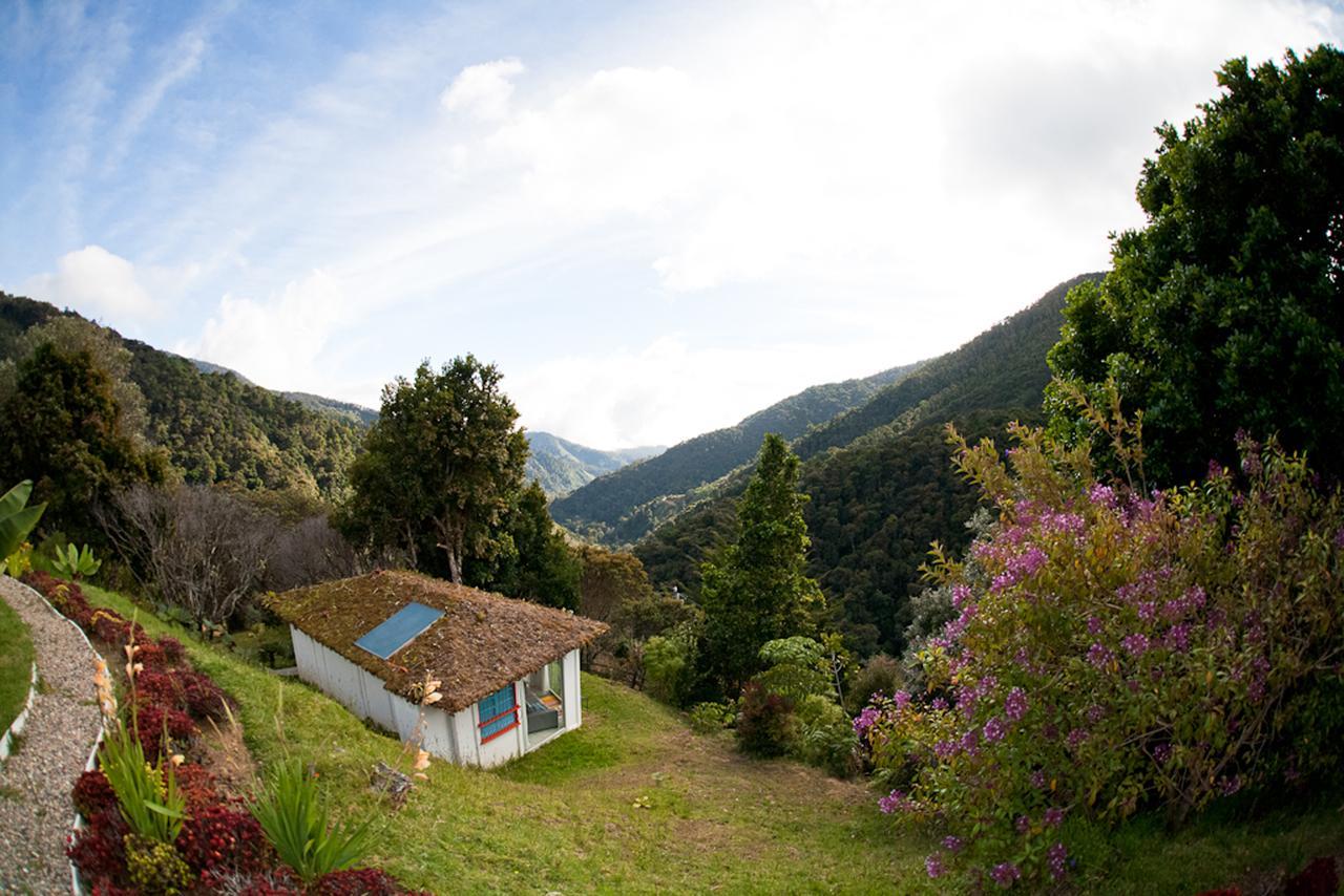 Dantica Cloud Forest Lodge サン・ヘラルド・デ・ドタ エクステリア 写真